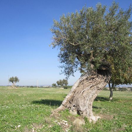 Agriturismo Il Granaio Hotel & Spa موديكا المظهر الخارجي الصورة